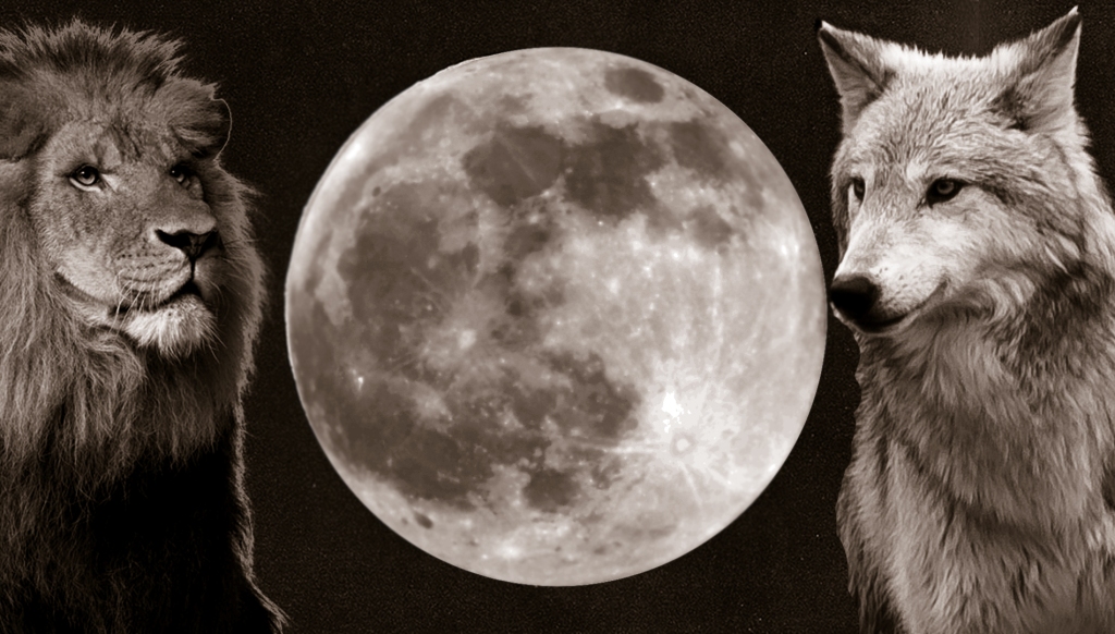 Full Wolf Moon in the Sign of the Lion.  Bound in the Unbounded.